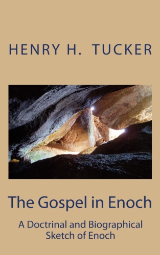 Image for The Gospel in Enoch